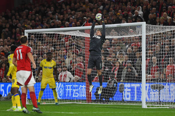 种类型的球 种类型的球